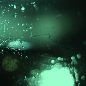 男同成人激烈视频
